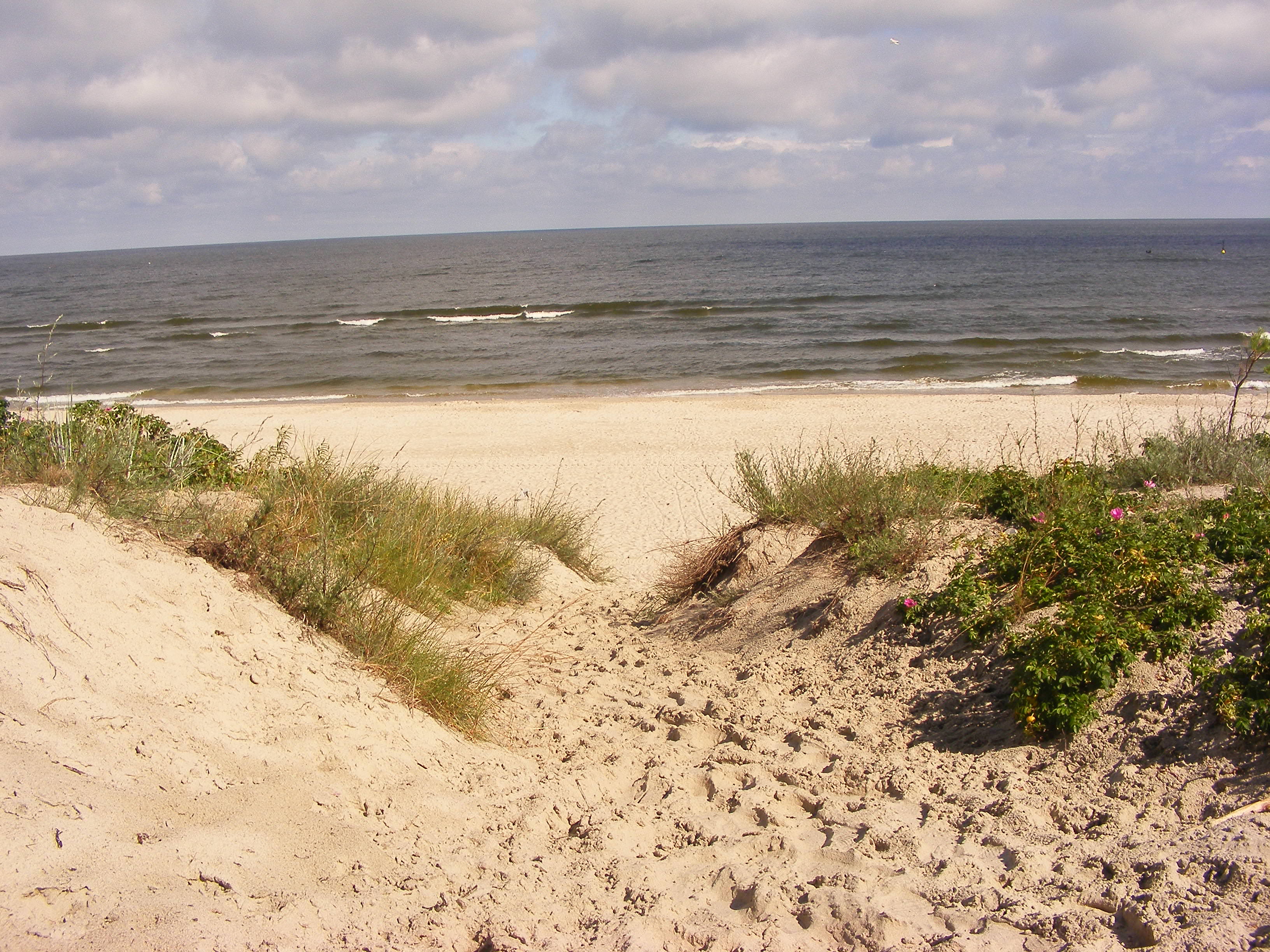 Krynica Morska - atrakcje: plaża