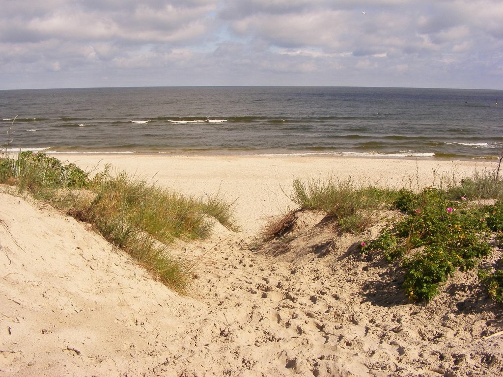 Pusta plaża na Mierzei Wiślanej