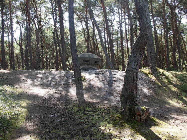 Szlak Historii Militarnej Kaszub Północnych - umocnienia na Półwyspie Helskim