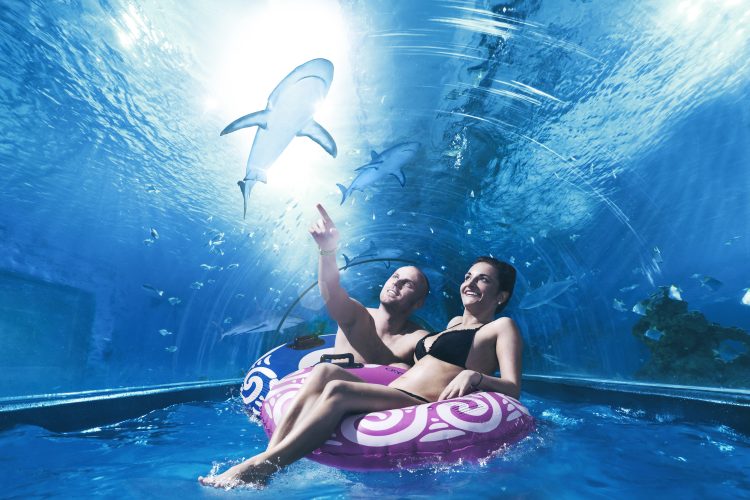 Aquapark Reda i jedna z jego atrakcji - rekiny